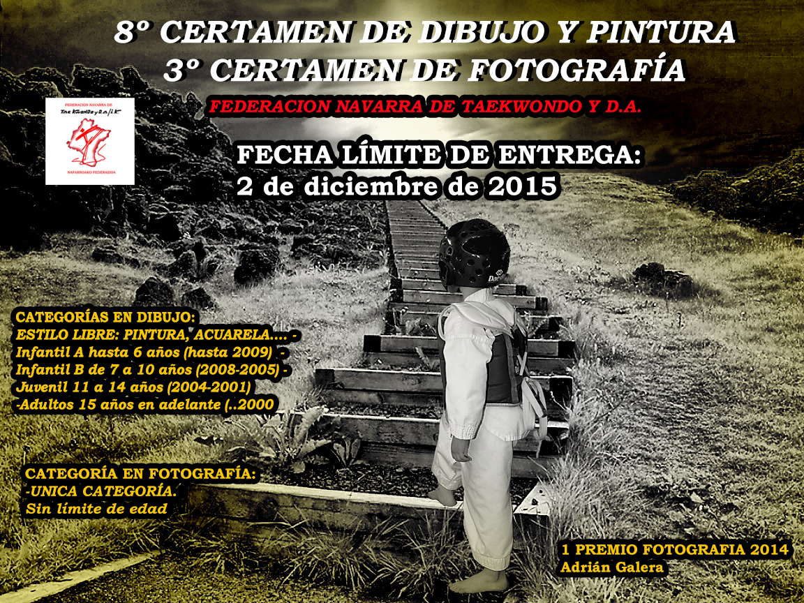concurso fotografia y dibujo y pintura 2015